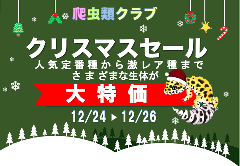 スクリーンショット 2021-12-23 12.38.42