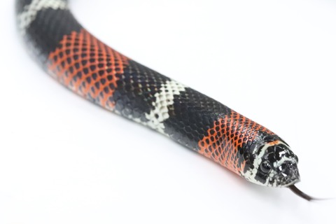 858E8135-8A3F-4FB9-96D0-62F3F210065B