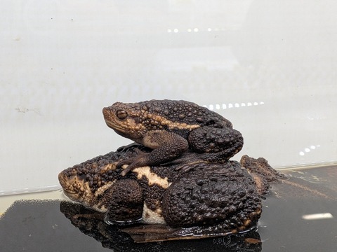 PXL_20260331_025155905