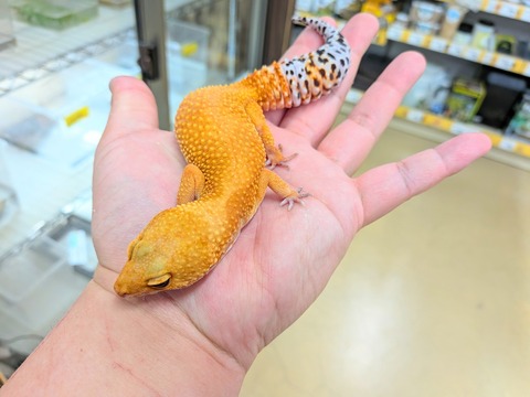 PXL_20260331_075349080~2