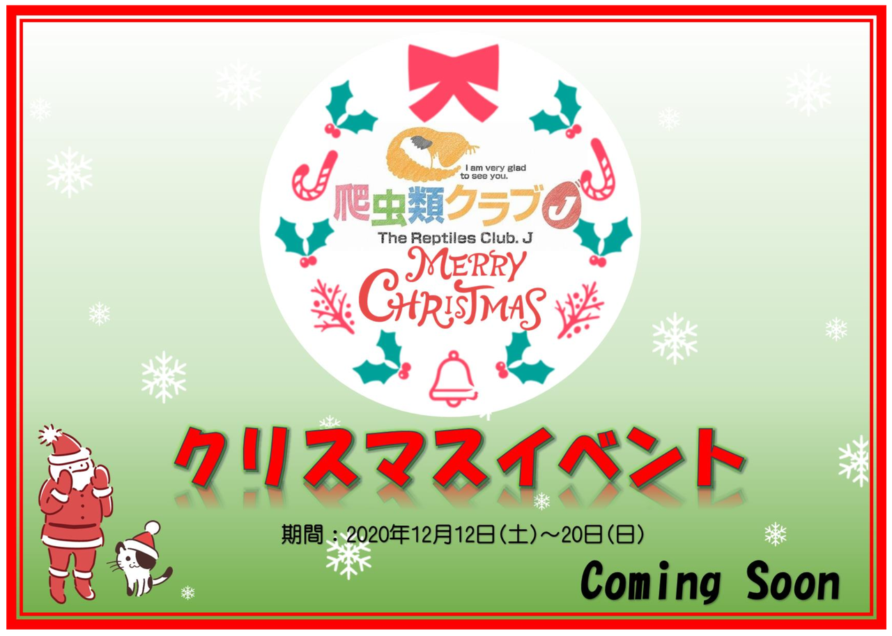 お知らせ クリスマスイベント 爬虫類クラブｊ千葉ニュータウン店