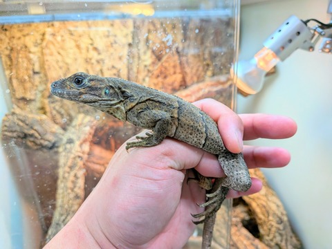 PXL_20260331_073722059~2