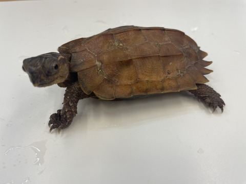 8B1E973D-535E-4692-A7CB-71123E640C53