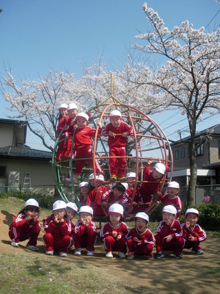 RIMG0244