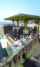 09534524.jpg
