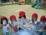 RIMG0685