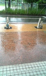 16d723c4.jpg