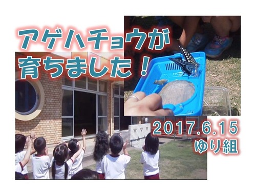 061501