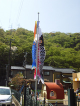RIMG0474 (2)
