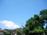 RIMG0052