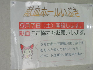 RIMG4447
