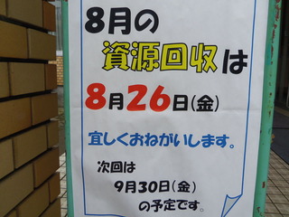 IMGP5317