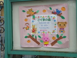 IMGP8338
