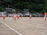 RIMG3312