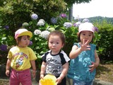 IMGP0869
