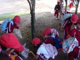 DSC08399