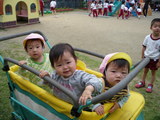 IMGP0265