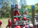 RIMG0293