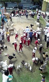 48e64555.jpg