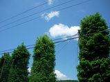 RIMG0055