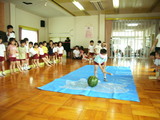 RIMG0062
