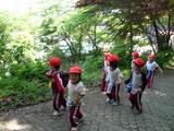 RIMG0008