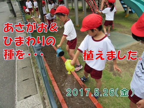 052901