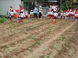 RIMG0208