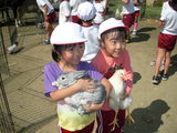 RIMG0665