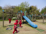 DSC04955