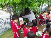 IMGP4592