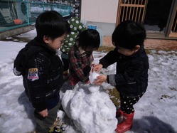CIMG0097