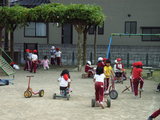 RIMG0559