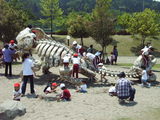 RIMG0837