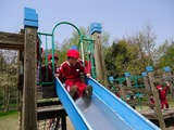 DSC04949