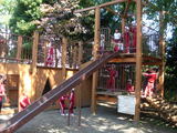 RIMG0857