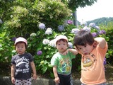 IMGP0870