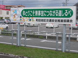 RIMG1161
