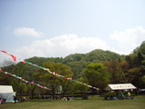 RIMG0526