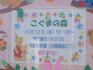IMGP8269