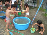 RIMG0233