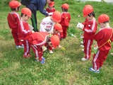 RIMG0249