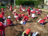 RIMG0936
