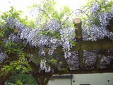 RIMG0534