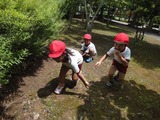 DSC03440