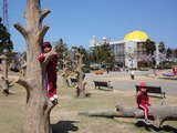 DSC00113