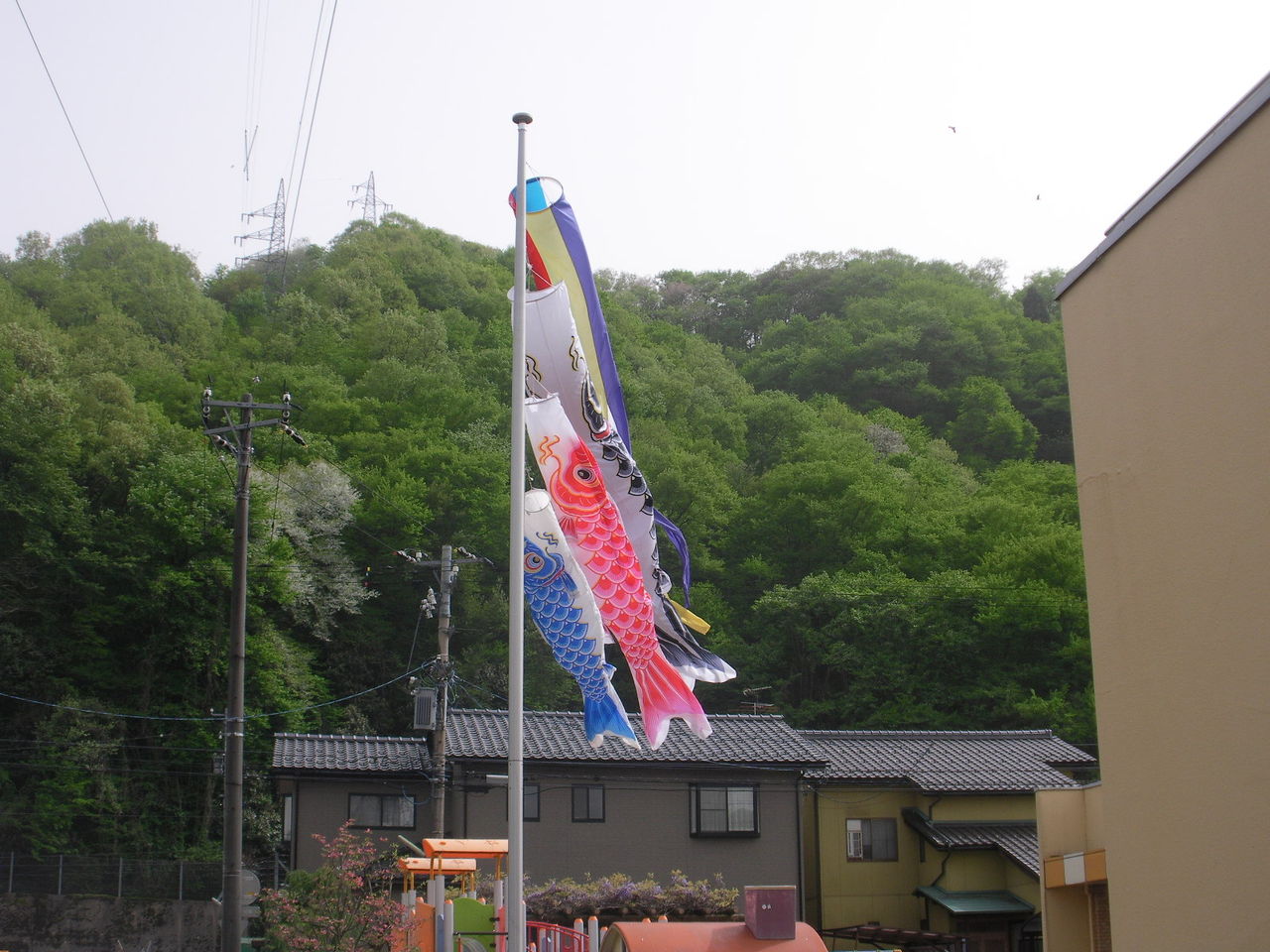 RIMG4452