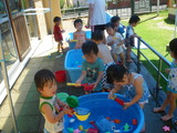 IMGP2798
