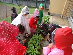 DSC07808
