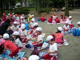 RIMG0711